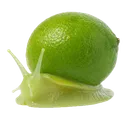 hambooga
