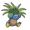 oddish11