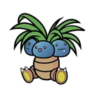 oddish11