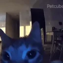 stashcat