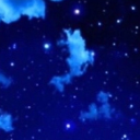 Chat with lily shapes inc