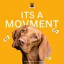 woof_degen