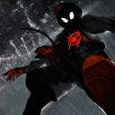the_leo_bs_08871 avatar