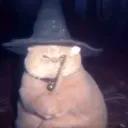 purfend