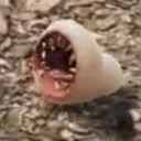garbage