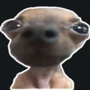 juanzinhos1ze