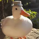 nubsv2