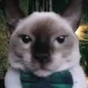 ahjkkey_30131 avatar