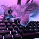 danilka_22222 avatar