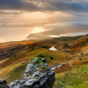 .whitepanther.'s Avatar