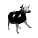 nopejrh_67203 avatar