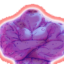 doxum