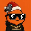 smartcoded