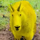 bigmanbigmac123