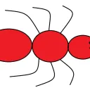 ant_hs