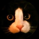 nonneenaxd member profile picture