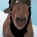 sincerelycapyy avatar