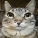 zyrixen