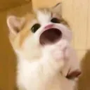 aint.fryou