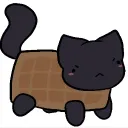 this_silly_kat avatar