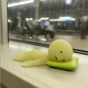 cdcou