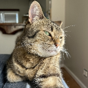 avatar CrimsonW0okX2