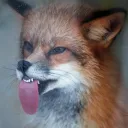 sirsilverfox
