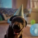 kashthestaffy
