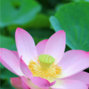 avatar Dark_moon🌜