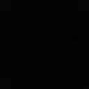 xenox0738_30348