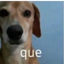 hieloderretido. avatar