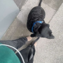 avatar 𝓯𝓮𝓵𝓲