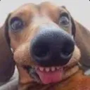 cannxnyt avatar