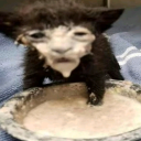 christmas_dimer's Avatar