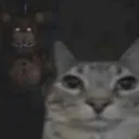 nosexd0990_20629 avatar