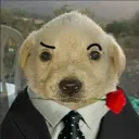 haitiano2.0elremateparte2 avatar