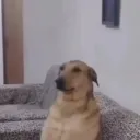 tequilu11._72141 avatar