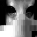 ._p1ss_l0rd_.