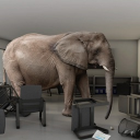 avatar The Elephant In The Room
