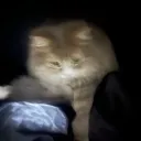 3bdallah_rl