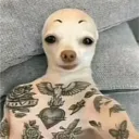 Аватар safdsadfsadf