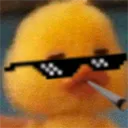 sdfvghjk_75725