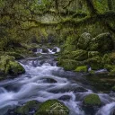 faridanoet_48558