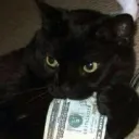 official_guest. avatar