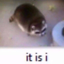 avatar 🥷🏻SnekyTurtle🐢