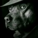 benibiididdatd avatar