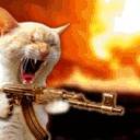 12345678913728's Avatar