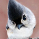 cjidk6767_28's Avatar