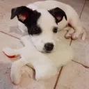 angelzamudio0142 avatar