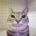 michugaming2025
